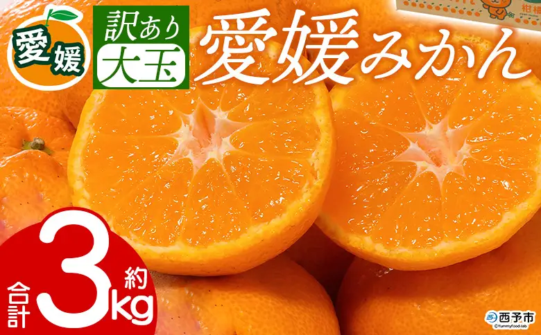 先行予約＜訳あり 大玉 愛媛みかん 合計約3kg＞ 『2026年11月以降順次出荷予定』温州 みかん フレッシュ ご家庭用 ご自宅 蜜柑 愛媛県産 果肉 お試し 果物 柑橘 フルーツ オレンジ 国産 産地直送 ミヤモトオレンジガーデン 愛媛県 西予市【常温】ONM0040