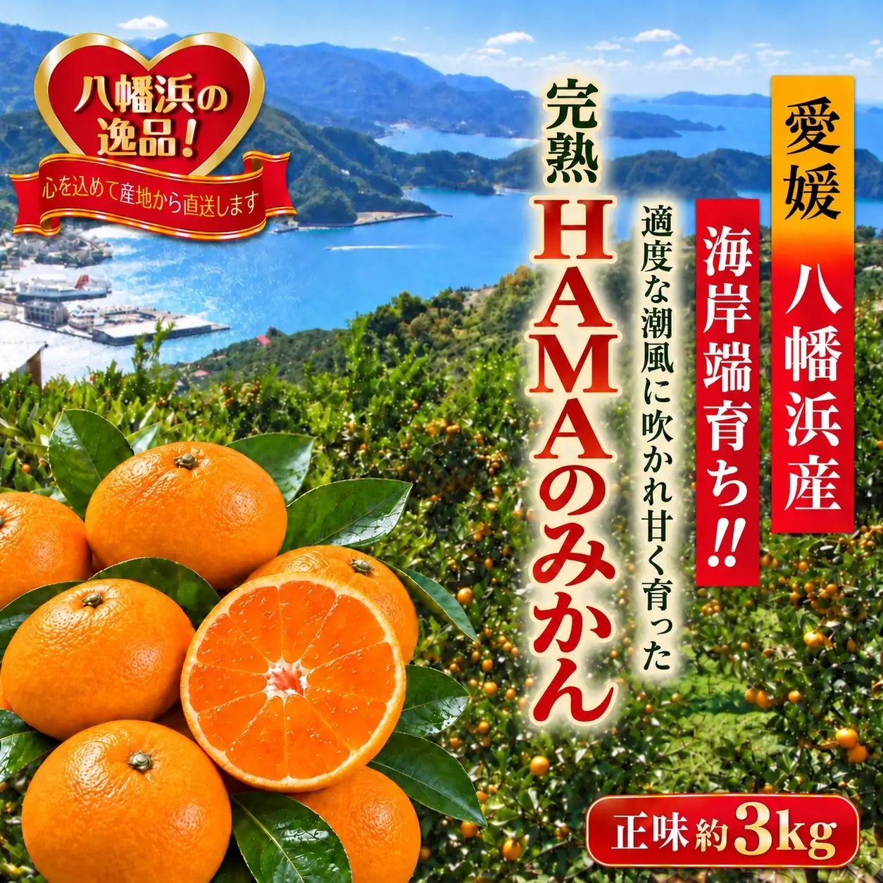 【先行受付】ミネラルを運ぶ潮風に吹かれ甘く育ったみかんを厳選　完熟「HAMAのみかん」　正味約３ｋｇ【39-94】YWTF069