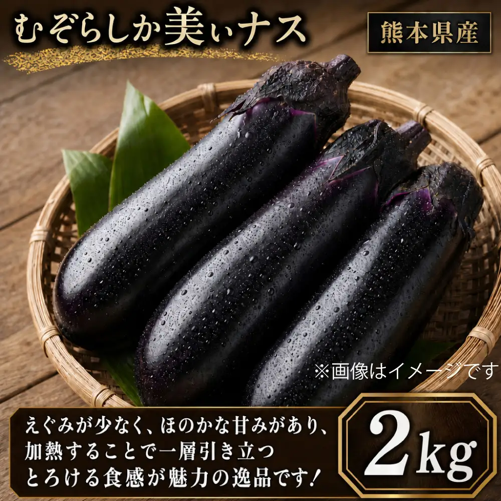 くまもと むぞらしか美ぃナス （ ビーナス ） 2kg （ 熊本県産 ） ナスビ 野菜 和食 洋食 中華 おかず おつまみ 旬の野菜 季節の野菜 旬 季節 焼きナス 国産 【 2026年11月上旬～2027年5月下旬迄発送 】