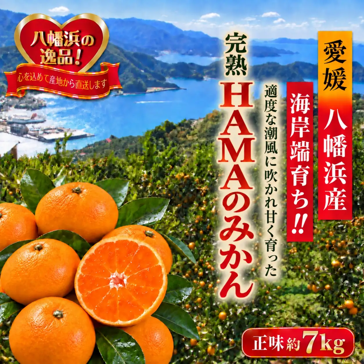 【先行受付】ミネラルを運ぶ潮風に吹かれ甘く育ったみかんを厳選　完熟「HAMAのみかん」　正味約7ｋｇ【39-96】YWTF071