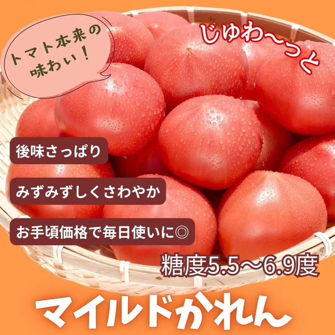 糖度5.5～6.9度のトマト マイルドかれん 4kg | de-karen-4kg