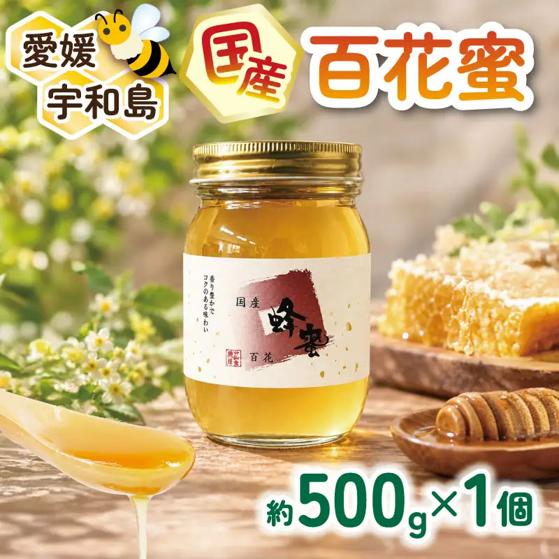 はちみつ 国産 はちみつ 百花蜜 約 500g 宇和島農産 F010-132015