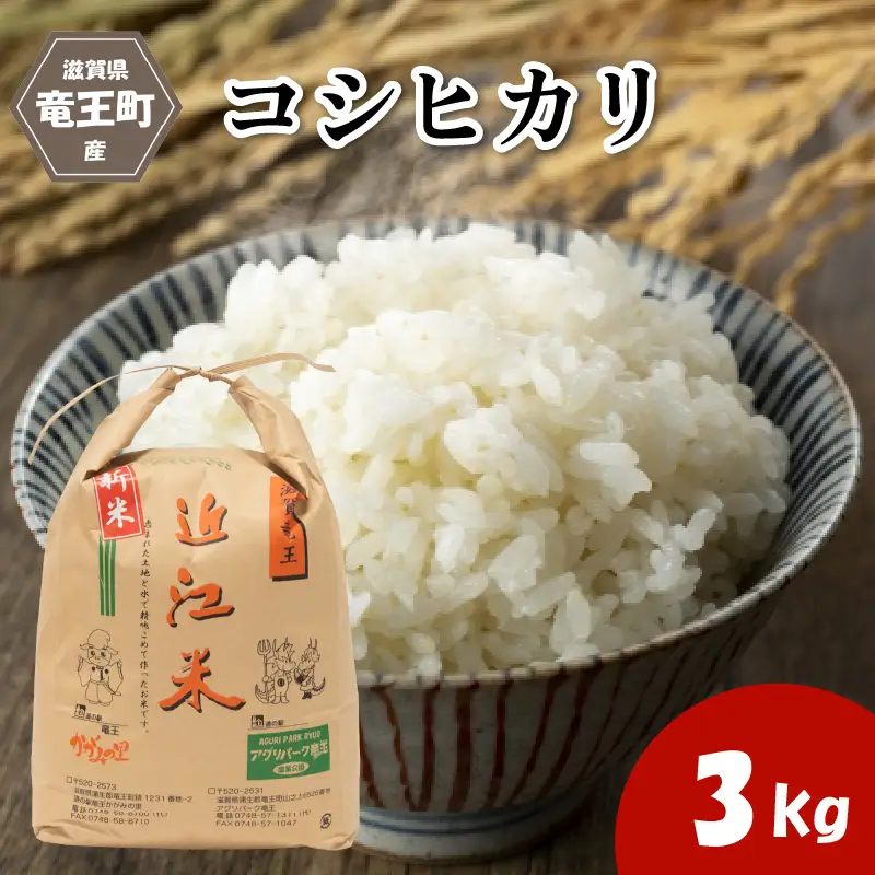 【令和8年産】 新米 コシヒカリ 3kg 白米 玄米 環境こだわり米 化学肥料不使用 特別栽培米 2026年産 お米 滋賀県 竜王町