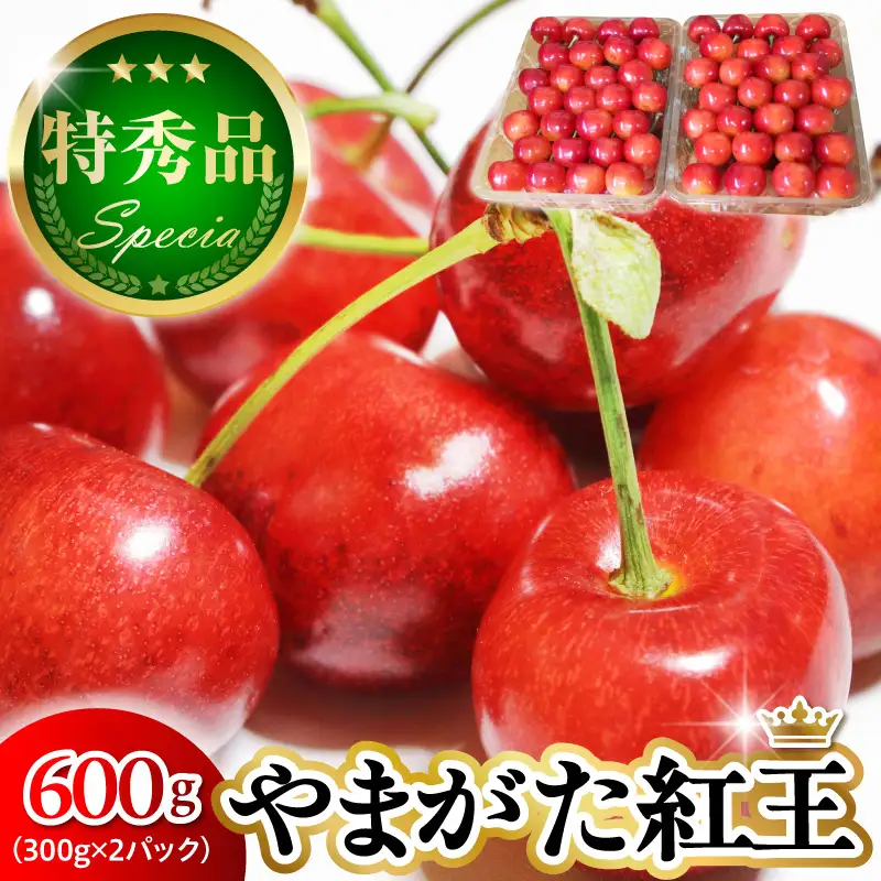 2027年産 さくらんぼ やまがた紅王 600g さくらんぼ