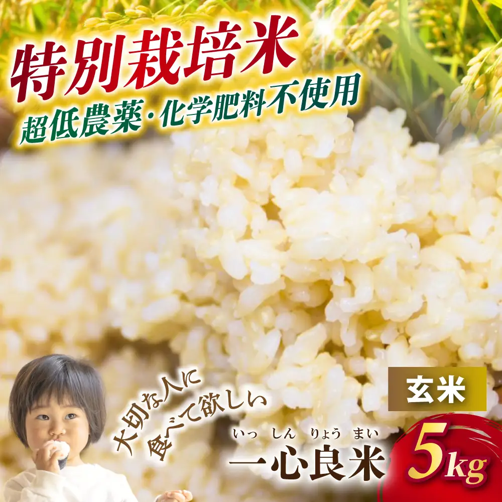 【令和8年産米】 真庭市産コシヒカリ 米ぬか 牡蠣殻栽培  一心良米 玄米 5kg / お米 岡山県 こしひかり 人気 ブランド 2026年産 【tkns021-01】