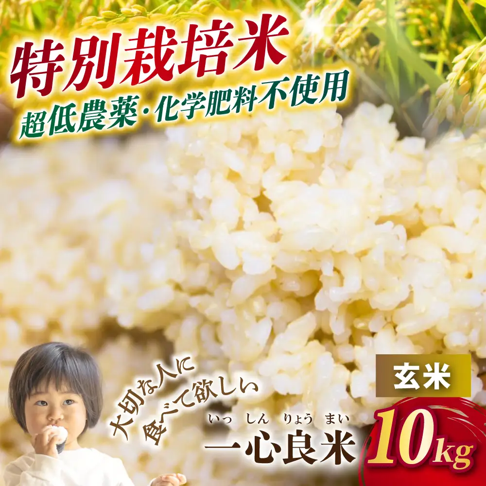 【令和8年産】 真庭市産コシヒカリ 米ぬか 牡蠣栽培米 『 一心良米 』 玄米 10kg (5kg×2袋） / お米 いっしんりょうまい 岡山県 こしひかり 人気 ブランド 2026年産 【tkns022-01】