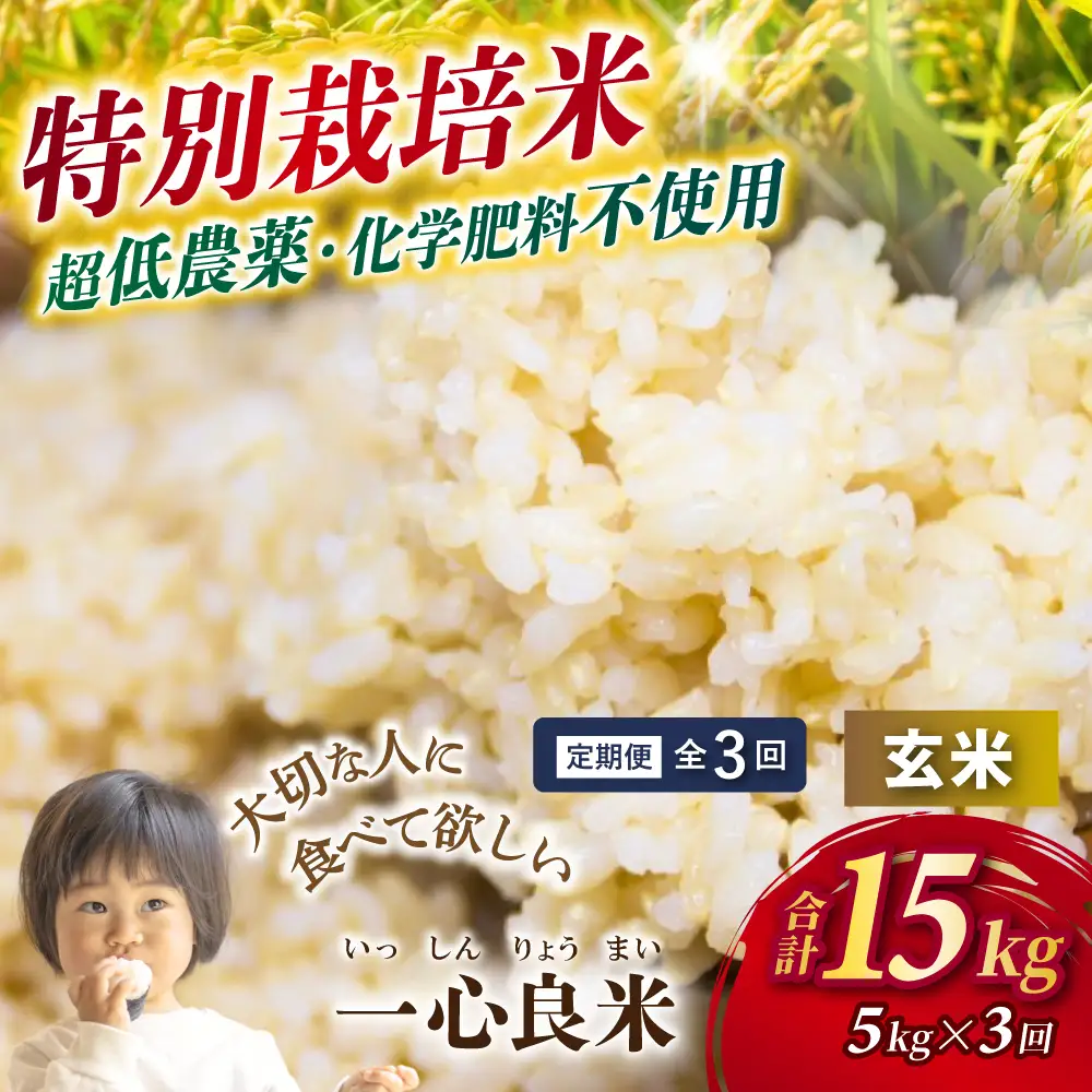 ＜全3回定期便＞ 真庭市産コシヒカリ 米ぬか 牡蠣栽培米 『 一心良米 』 玄米 5kg×3回 【令和8年産】 / お米 いっしんりょうまい 岡山県 こしひかり 人気 ブランド 2026年産 新米 【tkns-tkb050】