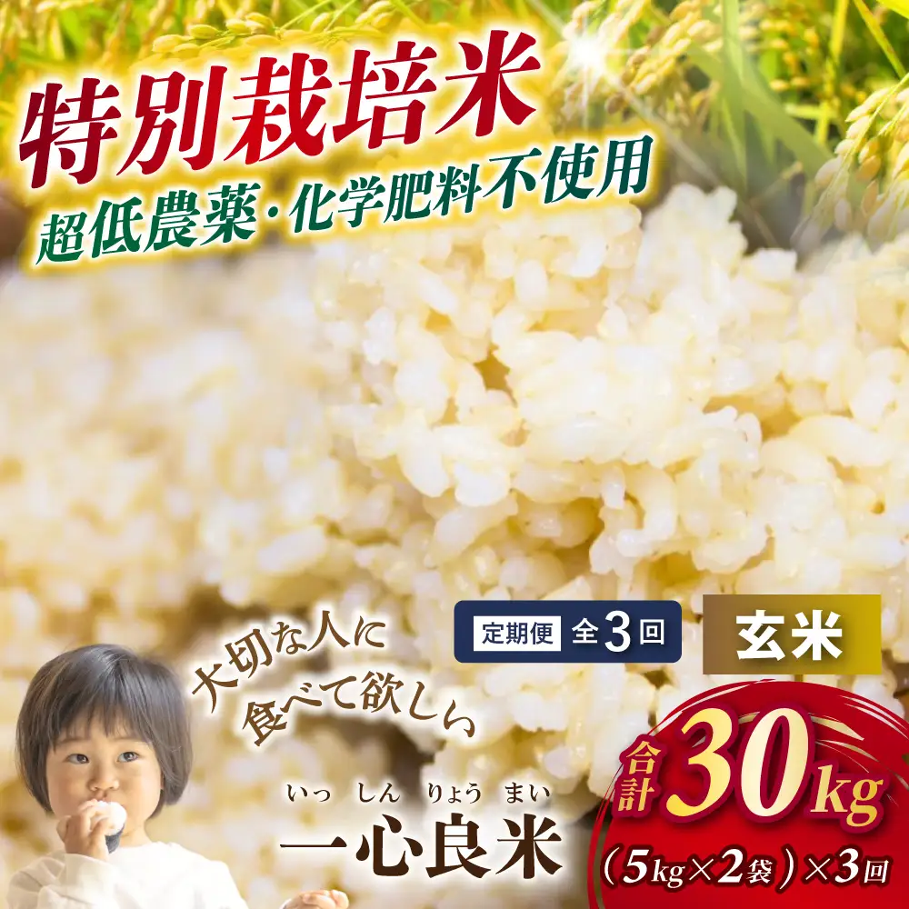 ＜全3回定期便＞ 真庭市産コシヒカリ 米ぬか 牡蠣栽培米 『 一心良米 』 玄米 10kg (5kg×2袋）×3回 令和8年産 / お米 いっしんりょうまい 岡山県 こしひかり 人気 ブランド 2026年産 【tkns-tkb052】