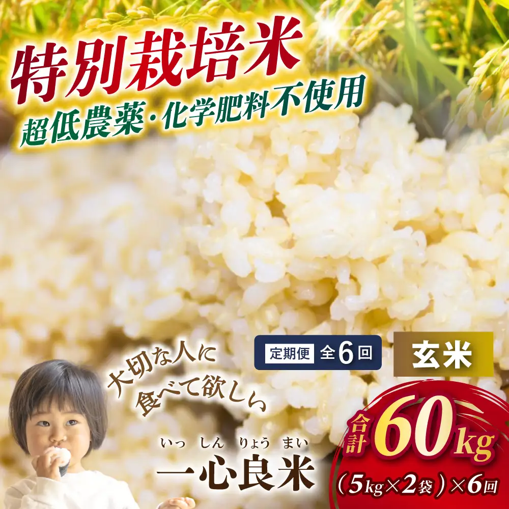 ＜全6回定期便＞ 真庭市産コシヒカリ 米ぬか 牡蠣栽培米 『 一心良米 』 玄米 10kg (5kg×2袋）×6回 令和8年産 / お米 いっしんりょうまい 岡山県 こしひかり 人気 ブランド 2026年産 【tkns-tkb053】