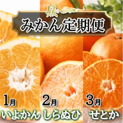 【発送月固定定期便】愛媛が誇る旬の柑橘めぐり（いよかん・しらぬい・せとか）【28-54】全3回　YWTN042