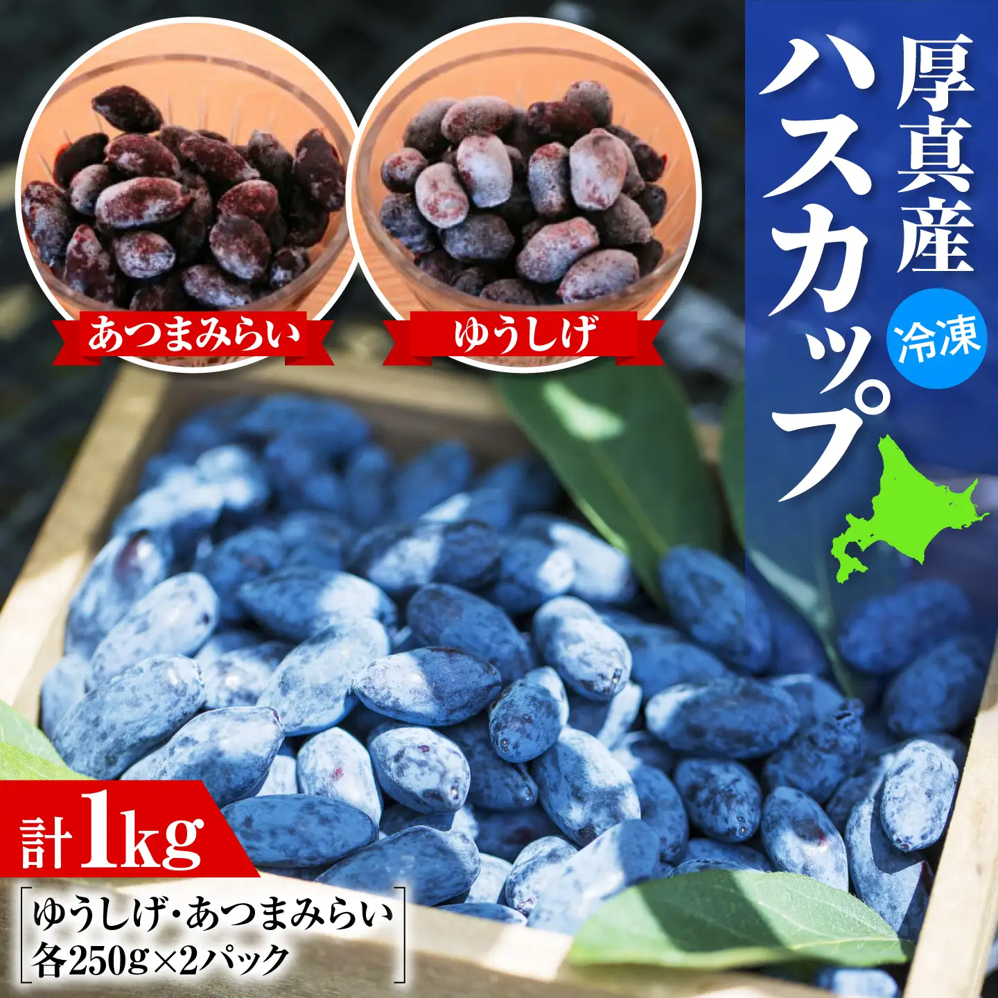 冷凍 ハスカップ 計1kg [AXAB086] ハスカップ