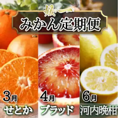 【発送月固定定期便】愛媛が誇る旬の柑橘めぐり（せとか・ブラッドオレンジ・河内晩柑）【28-55】全3回　YWTN043