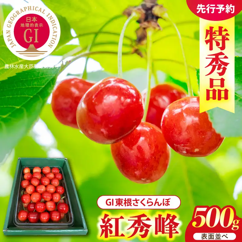 2027年産 GI東根 さくらんぼ 紅秀峰 500g さくらんぼ