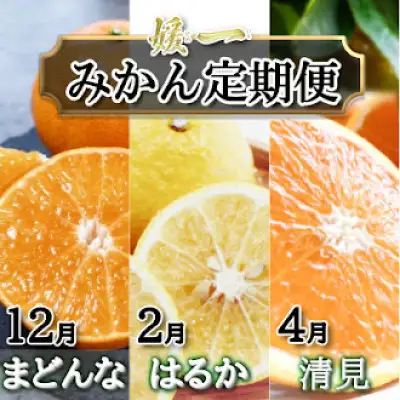 【発送月固定定期便】愛媛が誇る旬の柑橘めぐり（媛一まどんな・はるか・清見）【28-57】全3回　YWTN044