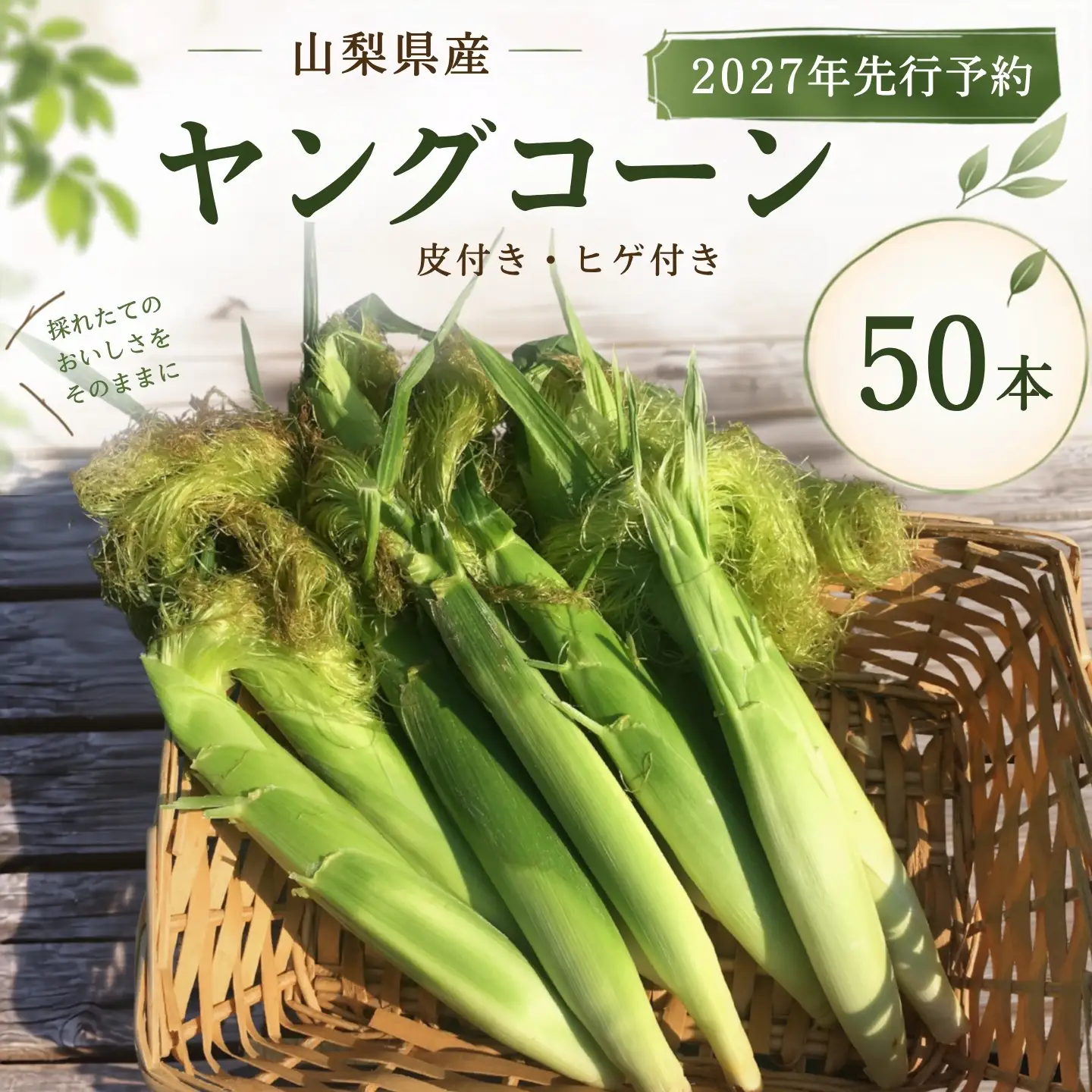 【2027年発送】山梨県産 ヤングコーン　とうもろこし 50本入｜とうもろこし