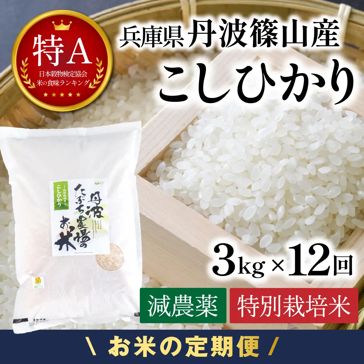 定期便 新米  丹波篠山産 特別栽培米コシヒカリ 精米 3kg×12回 定期便