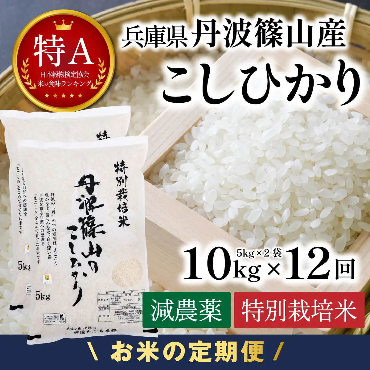 定期便 新米  丹波篠山産 特別栽培米コシヒカリ 精米 10kg×12回 定期便