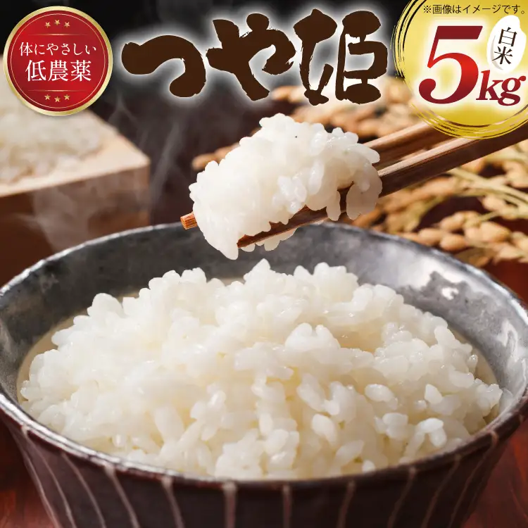 米 令和8年産 つや姫 白米 5kg