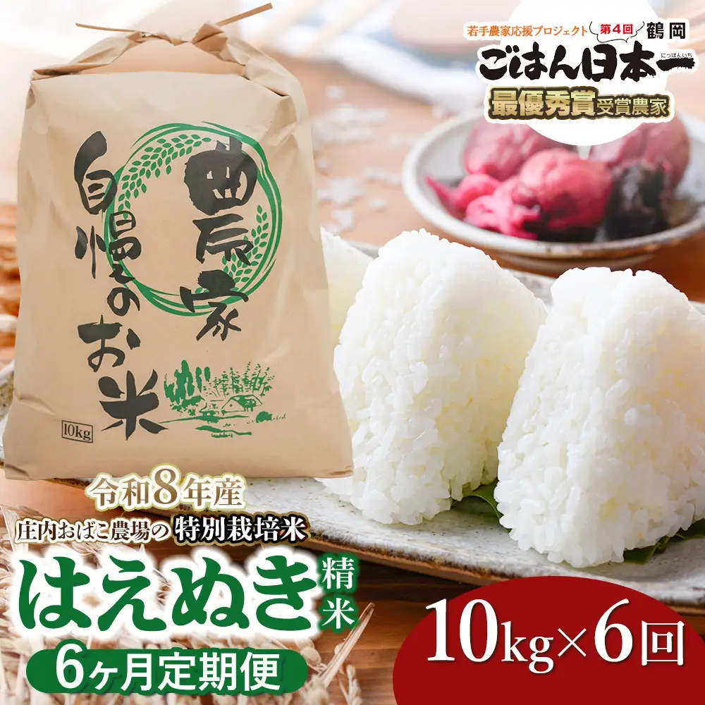 【令和8年産 新米】【定期便6ヵ月】特別栽培米 はえぬき 精米 10kg(10kg×1袋) 山形県鶴岡市 庄内おばこ農場 K-872
