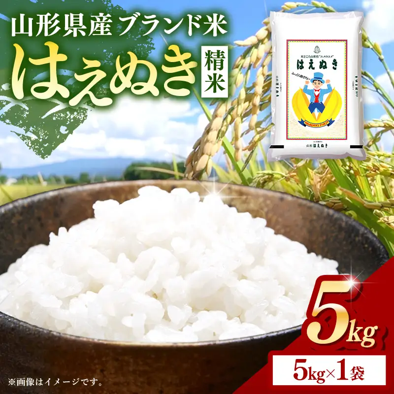 令和８年産 はえぬき 白米 5kg (5kg×1袋) - 山形県 飯豊町産 米 精米 品種 銘柄 ブランド米 ご飯 ごはん おすすめ 送料無料