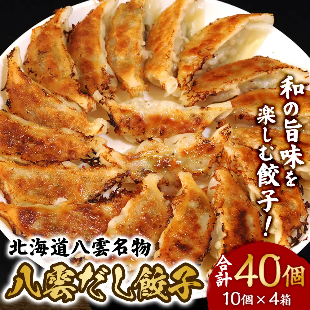 北海道八雲名物 八雲だし餃子40個（10個入×4箱） | 冷凍餃子 おつまみ グルメ お取り寄せ