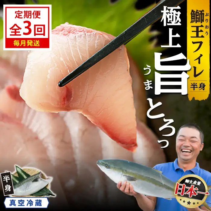 ＜定期便・毎月発送 全3回＞「鰤王」 フィレ 半身 (フィレ1枚) 定期便 約0.8kg～ 鹿児島県 長島町 産産地直送 新鮮 ブランド ぶり 鰤 ブリ 切り身 刺身 ぶりしゃぶ しゃぶしゃぶ 魚 魚介 人気 ランキング【JFA】jfa-7006S
