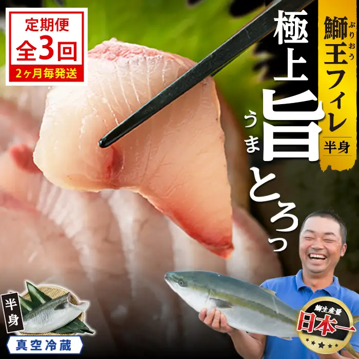 ＜定期便・2ヶ月毎発送 全3回＞「鰤王」 フィレ 半身 (フィレ1枚) 定期便 約0.8kg～鹿児島県 長島町 産産地直送 新鮮 ブランド ぶり 鰤 ブリ 切り身 刺身 ぶりしゃぶ しゃぶしゃぶ 魚 魚介 人気 ランキング【JFA】jfa-7006S2