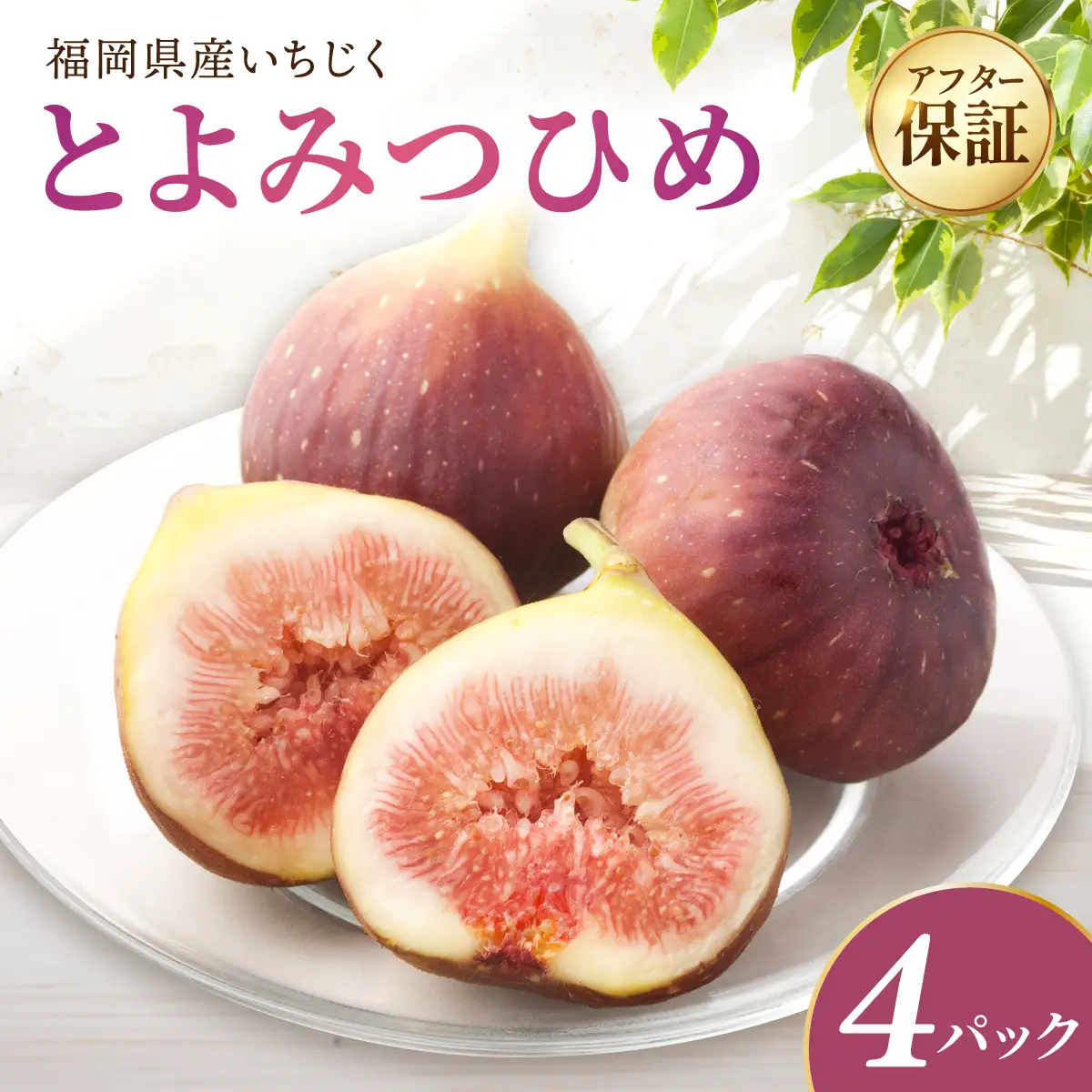 福岡県産 いちじく とよみつひめ 約1.2kg（300ｇ×4パック）