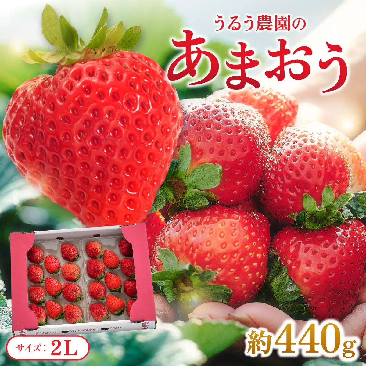【2027年3月～4月発送】うるう農園のあまおう(2Lサイズ)約220g×2P(約440g)