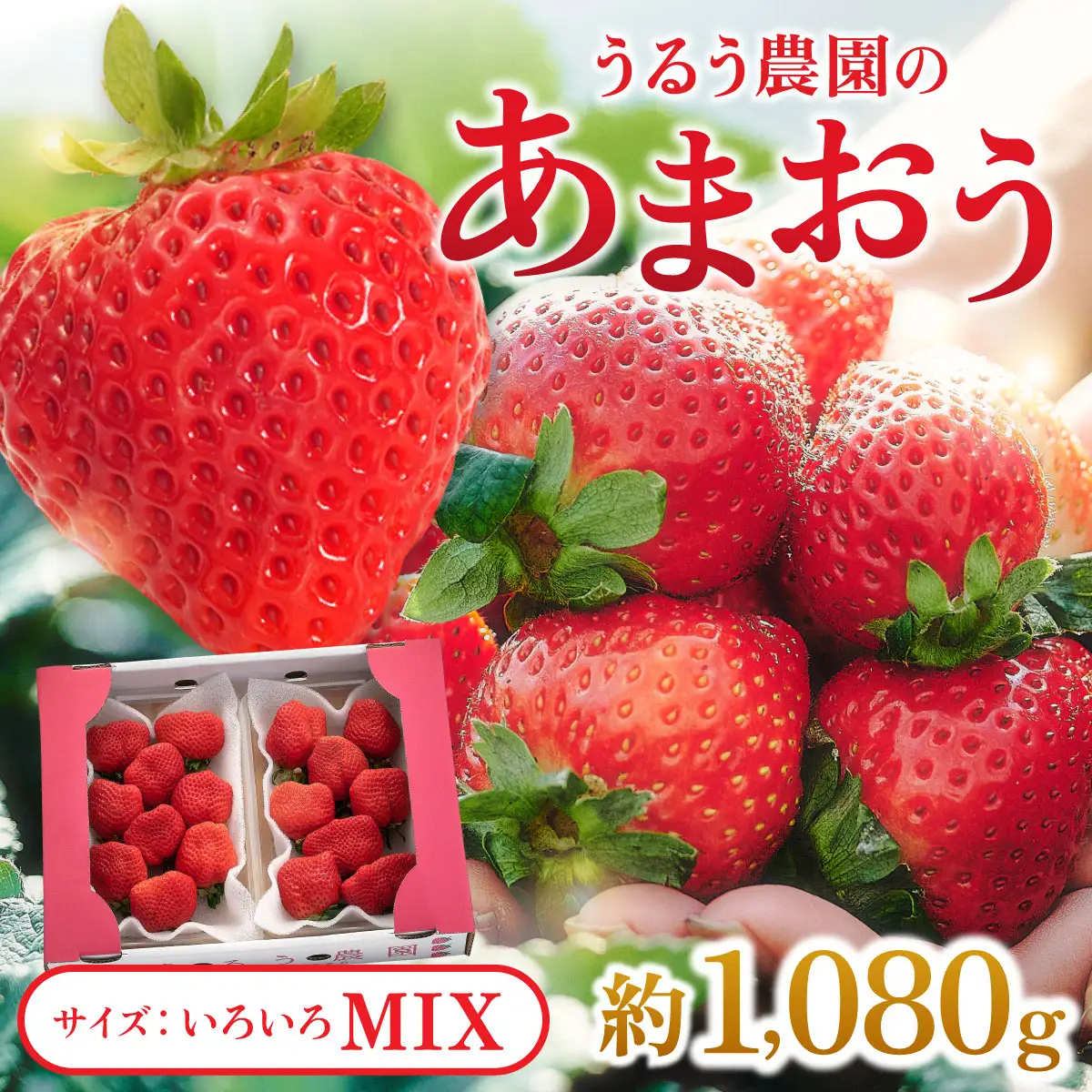【2026年12月～2027年2月発送】あまおうサイズいろいろMIX約250~270g×4P(約1080g)