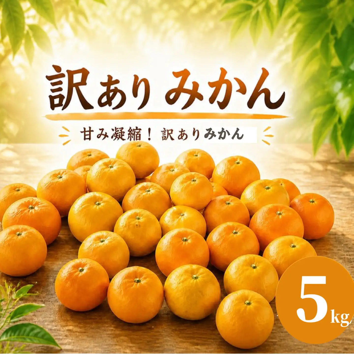 【 訳あり 】 温州みかん 5kg みかん ミカン 蜜柑 柑橘 