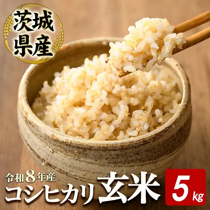 玄米 5kg コシヒカリ 米 【玄米】【ho1806】