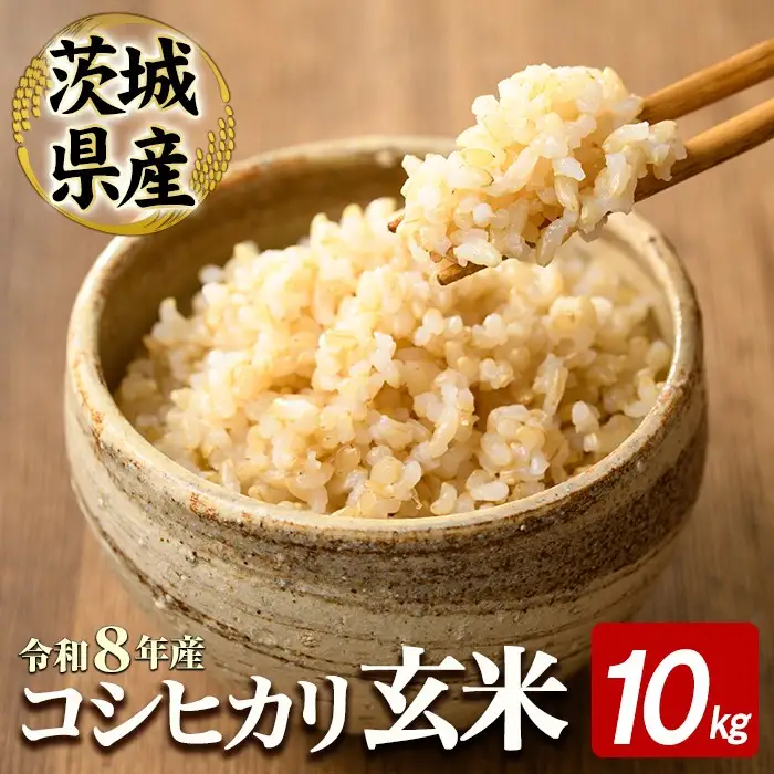 玄米 10kg コシヒカリ 米 【玄米】【ho1807】