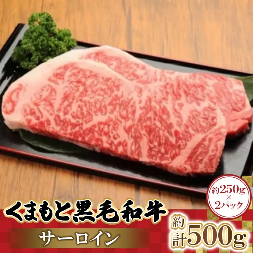 くまもと黒毛和牛サーロイン 250g×2パック　計500g(益城町)【配送不可地域：離島】【1781818】