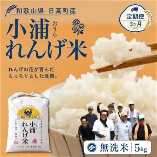 【毎月定期便】小浦れんげ米(にじのきらめき) 無洗米 5kg全3回【4093262】