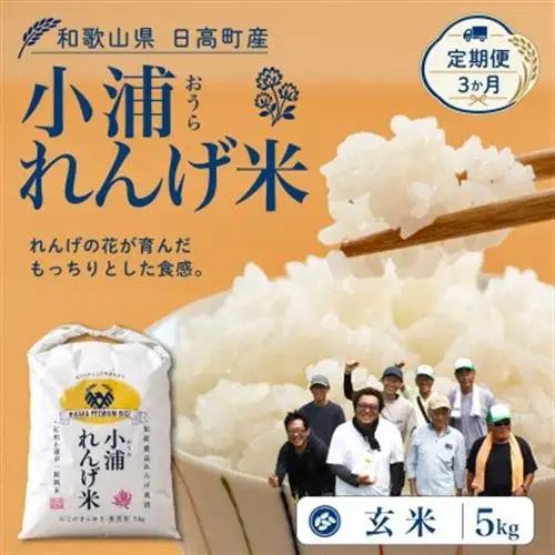 【毎月定期便】小浦れんげ米(にじのきらめき) 玄米 5kg全3回【4093266】