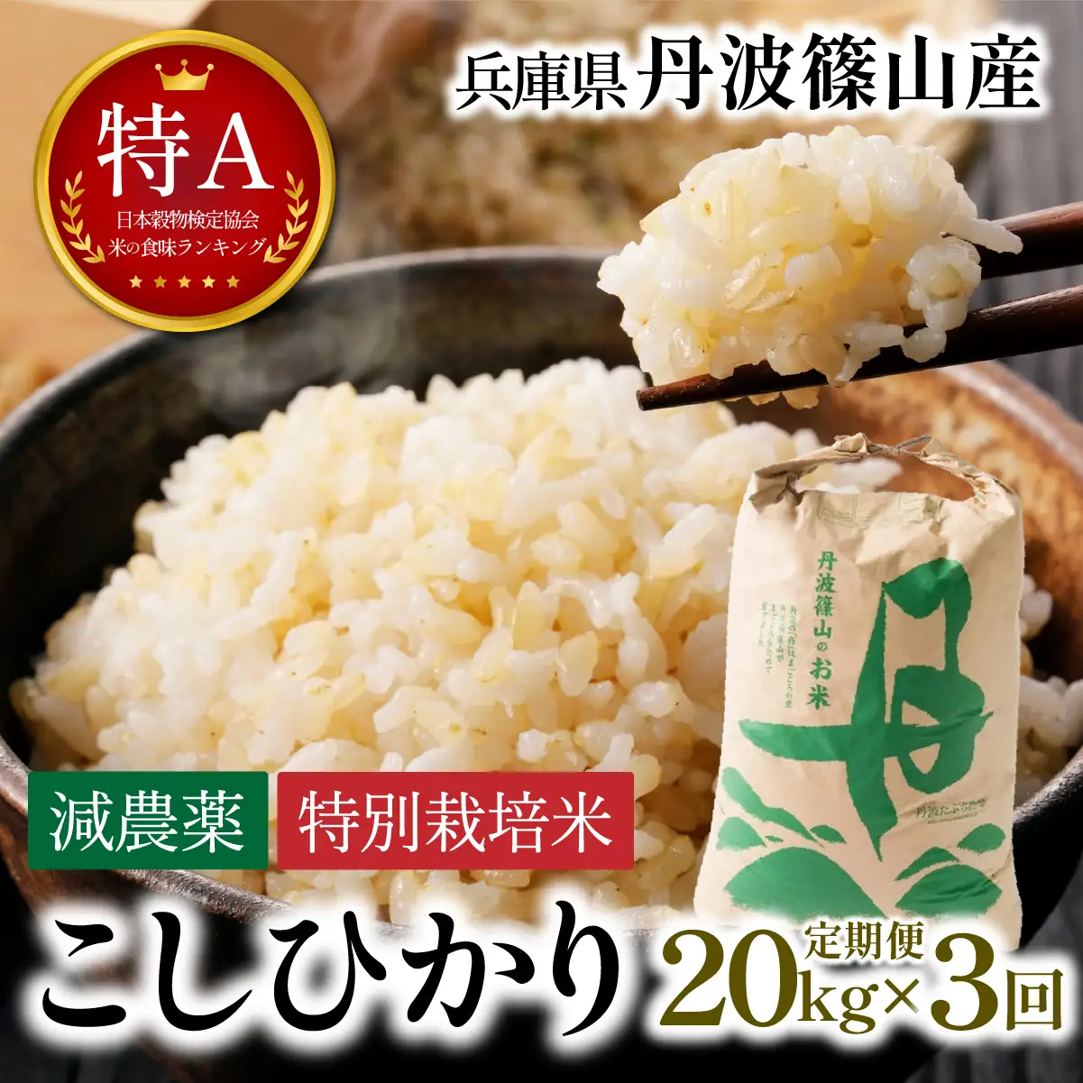 玄米 定期便 新米 丹波篠山産 特別栽培米コシヒカリ 20kg×3回 定期便 玄米