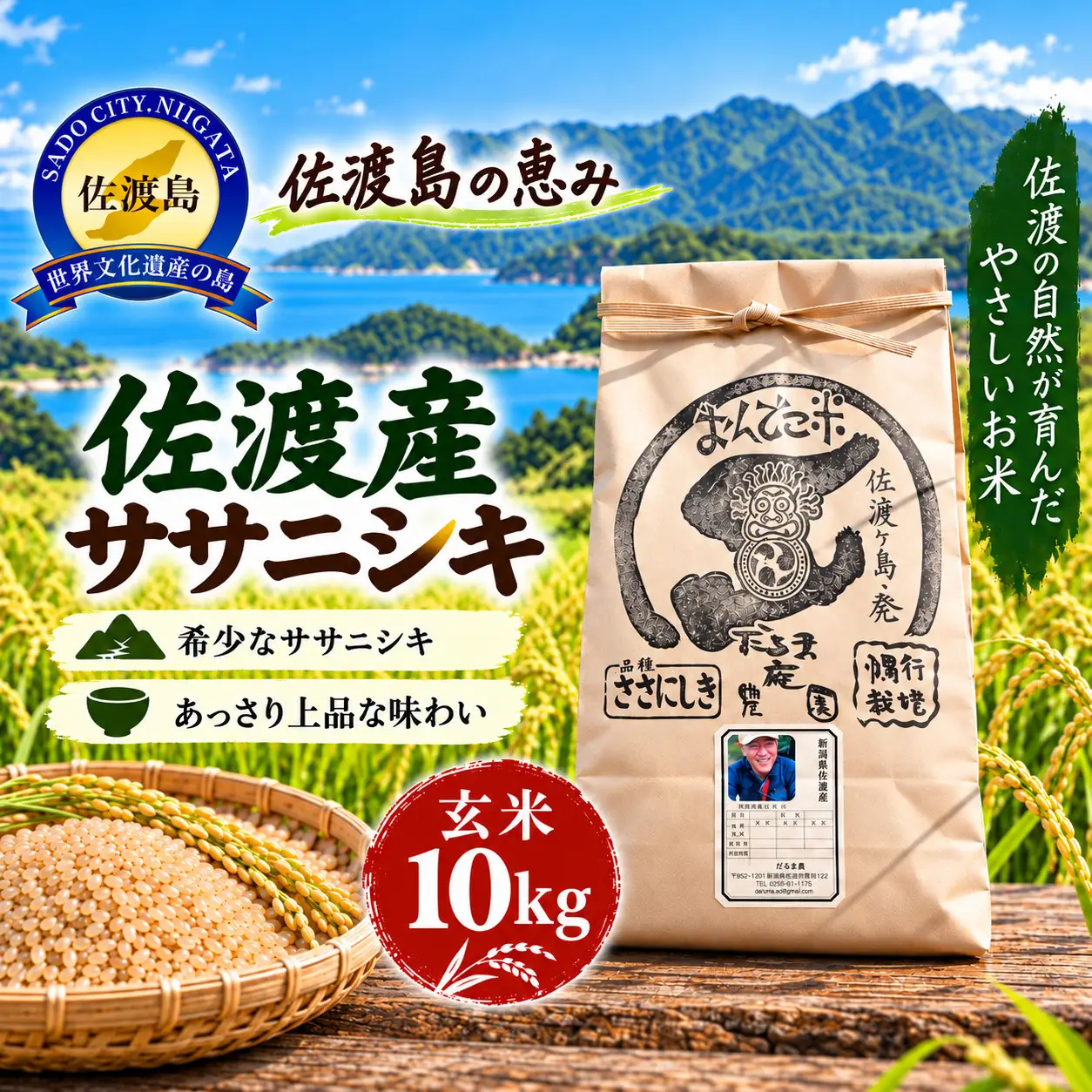 ササニシキ 玄米 10キロ | 新潟県 佐渡市 コシヒカリ