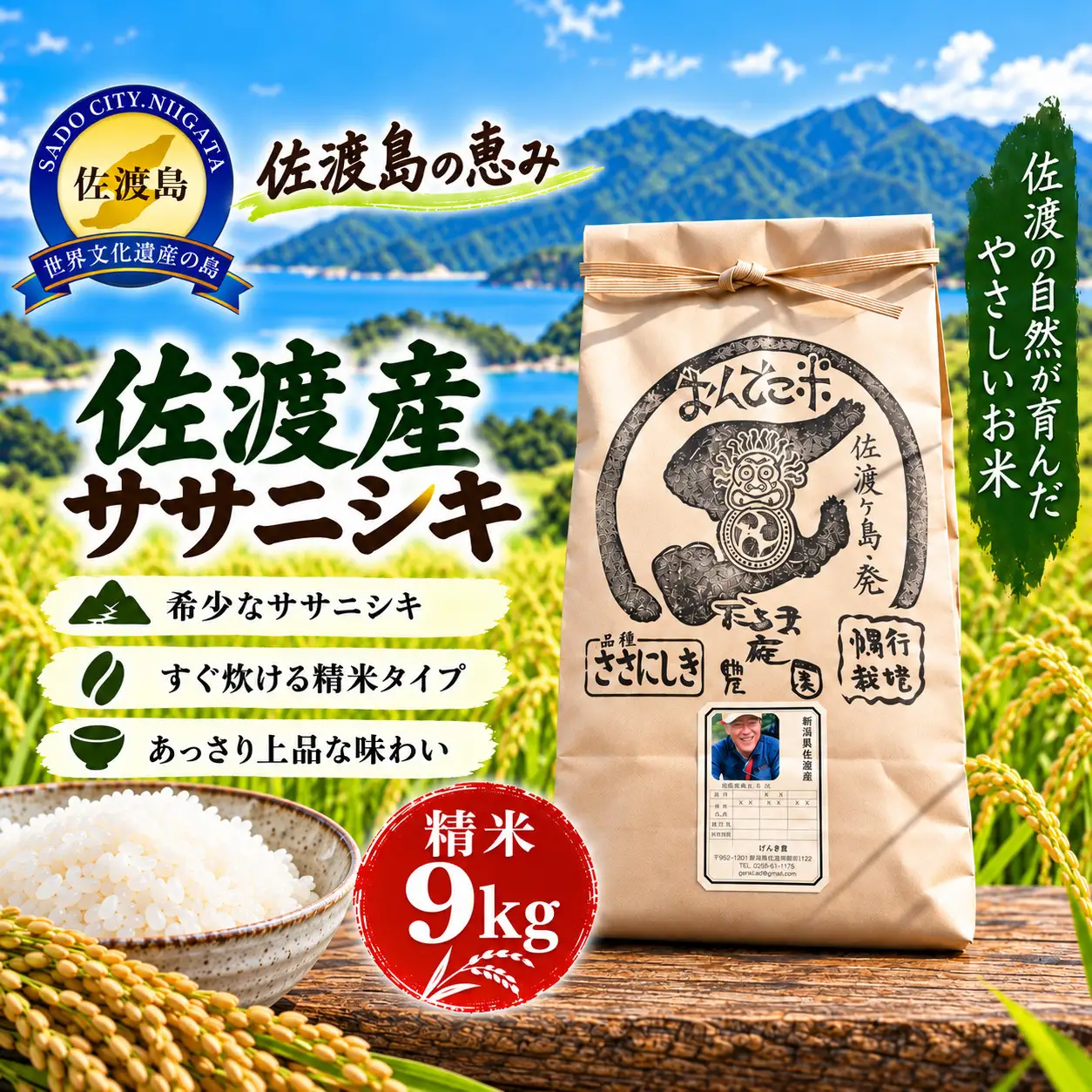 ササニシキ 精米 9キロ | 新潟県 佐渡市 コシヒカリ