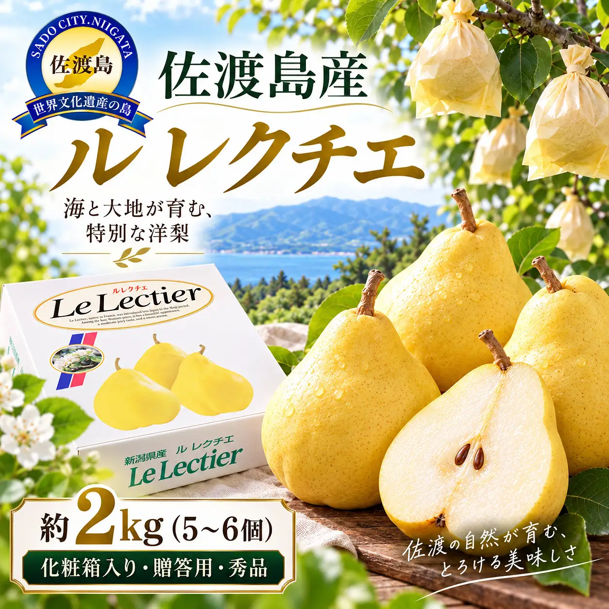 【2026年12月上旬より順次発送】佐渡島産 ル レクチエ 約2kg（5～6個）化粧箱入り・贈答用・秀品