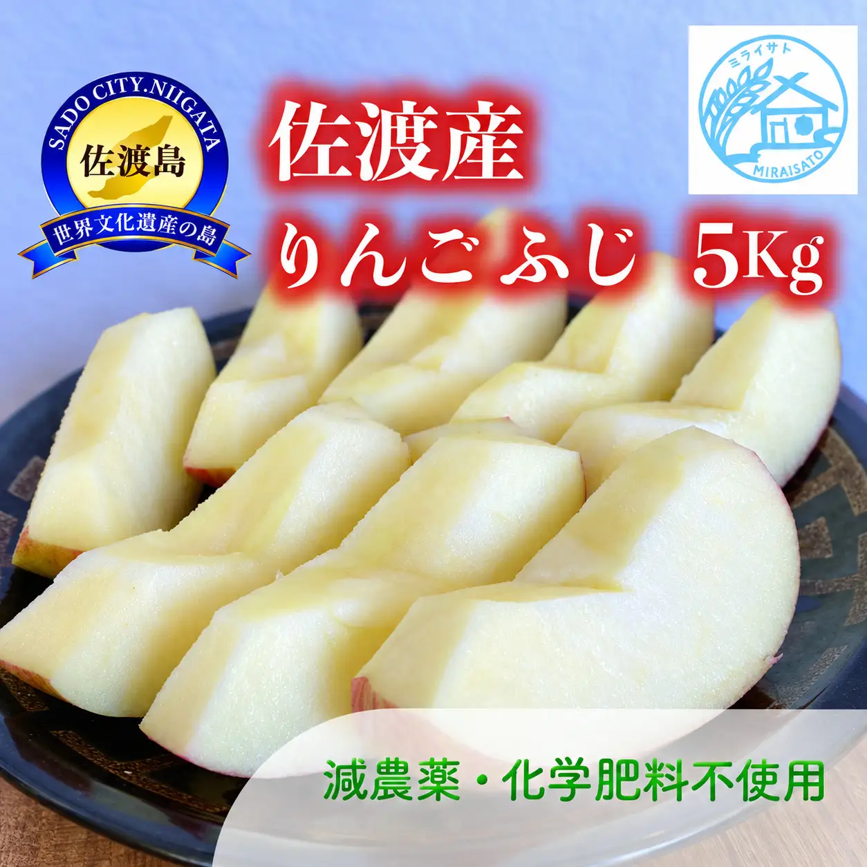 【令和8年産】佐渡産りんご「ふじ」5kg（13～18玉）ミライサト