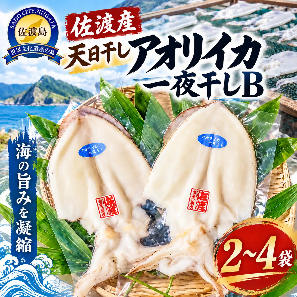 【佐渡産 アオリイカ】佐渡産 天日干し アオリイカ一夜干しB(2～4袋) 天日干し 冷凍