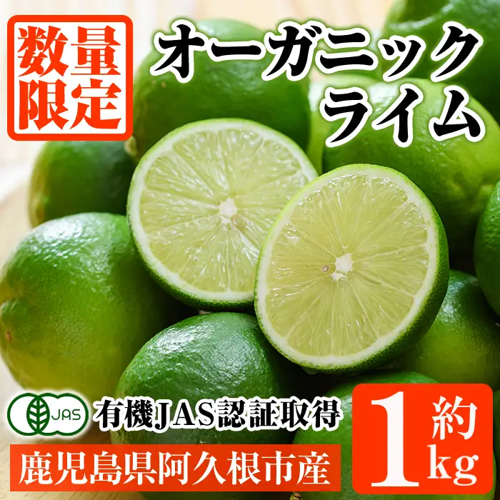 数量限定！有機JAS オーガニックライム(約1kg) 国産 果実 果物 フルーツ 柑橘 デザート 期間限定 有機栽培 健康志向 【中村農場】akn084-12