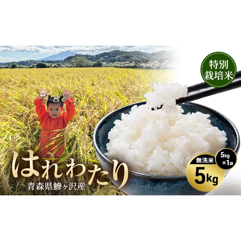 令和8年産 米 特別栽培米 はれわたり 5kg [無洗米] 青森県産 新米 先行予約 精米 5キロ (5kg×1) 特A 小分け 一人暮らし 鰺ヶ沢町 送料無料《H.GREENWORK》【10月中旬以降順次発送】
