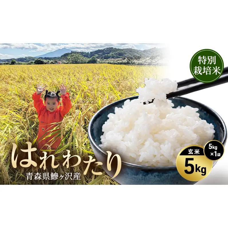令和8年産 米 特別栽培米 はれわたり 5kg [玄米] 青森県産 新米 先行予約 5キロ (5kg×1) 特A 小分け 一人暮らし 鰺ヶ沢町 送料無料《H.GREENWORK》【10月中旬以降順次発送】