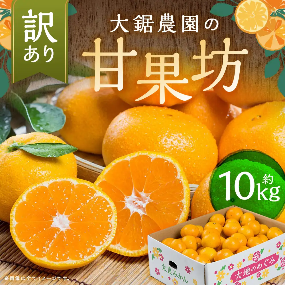 【 訳あり 】 大鋸農園 の 甘果坊 10kg みかん 太良みかん 温州みかん 果物 フルーツ 甘い柑橘 ノーワックス 果実 柑橘類 佐賀県 太良町 【2026年10月下旬～12月下旬まで順次出荷予定】