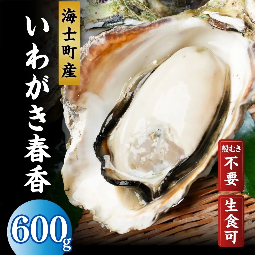 海士町産 牡蠣 冷凍 殻剥き不要 600g(5-6個)