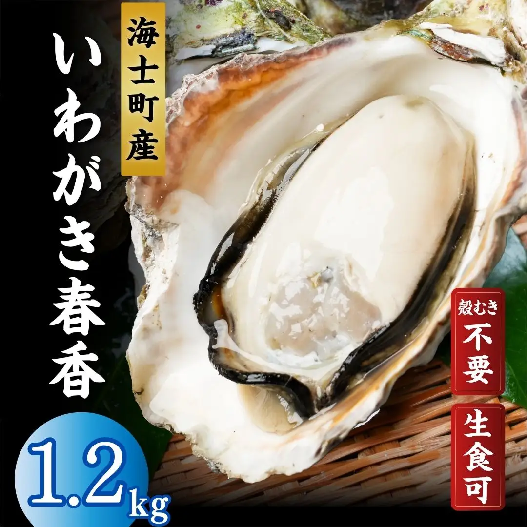 海士町産 牡蠣 冷凍 殻剥き不要 1.2kg(10-12個)