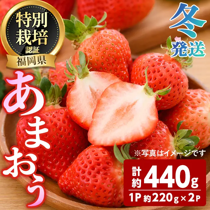 ＜先行予約受付中！2026年12月～2027年2月発送予定＞ うるう農園の あまおう 2Lサイズ (計約440g・約220g×2P) 苺 いちご イチゴ 果物 フルーツ 国産 福岡県 ヨーグルト ジャム スムージー 冷蔵 冬発送 特別栽培 ＜離島配送不可＞【ksg1959】【うるう農園】