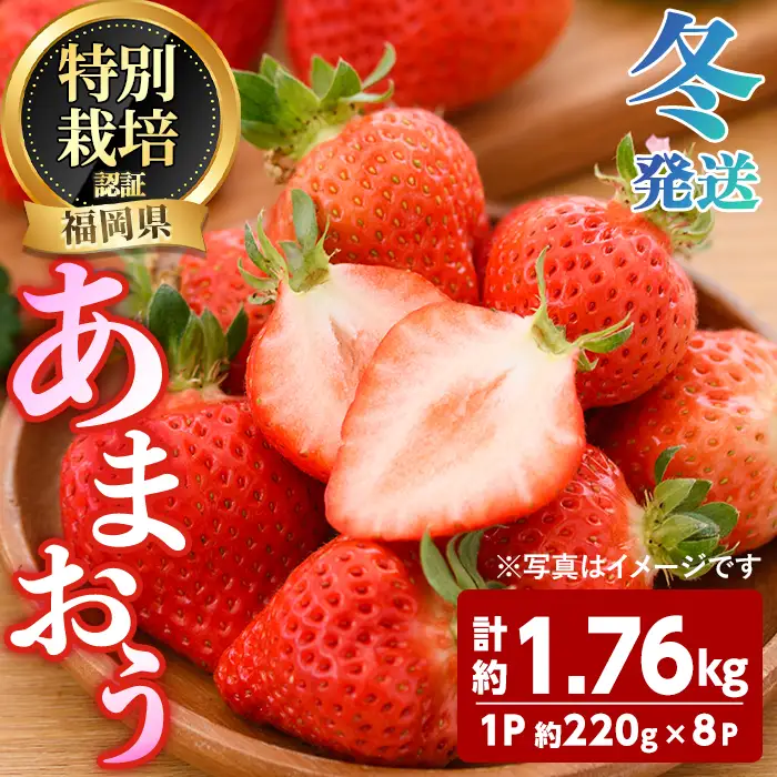 ＜先行予約受付中！2026年12月～2027年2月発送予定＞ うるう農園の あまおう 2Lサイズ (計約1.76kg・約220g×8P) 苺 いちご イチゴ 果物 フルーツ 国産 福岡県 ヨーグルト ジャム スムージー 冷蔵 冬発送 特別栽培 ＜離島配送不可＞【ksg1962】【うるう農園】